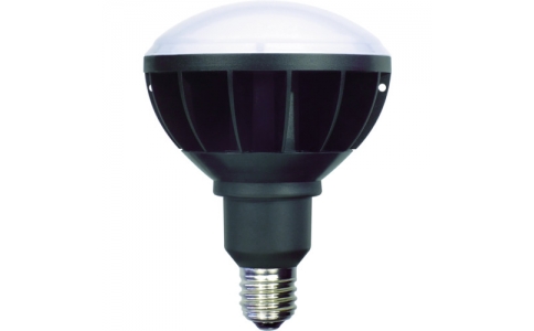 NICHIDO 日動  L50W-E39-WBK-50K-NLED交換球