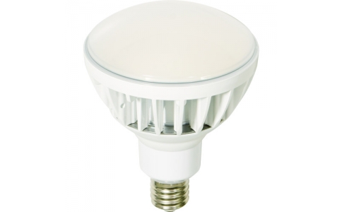 NICHIDO 日動(dòng)  L50V2-J110W-50KLED交換球高規(guī)格環(huán)保BIKU 50WE39本體白